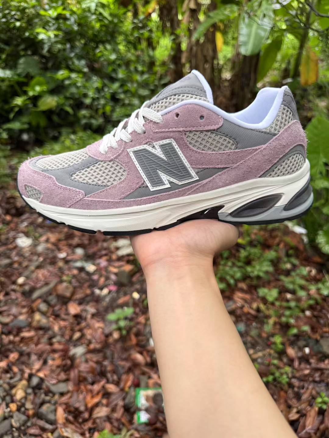 NB2010（G22 F48）