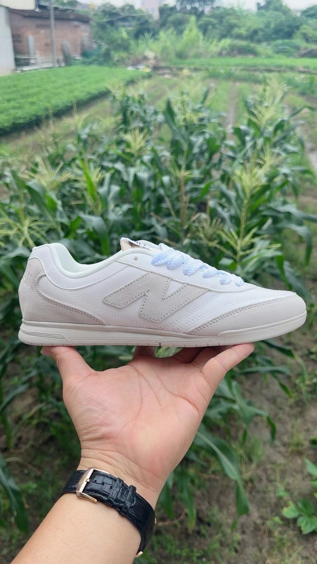 NB Low（F41）