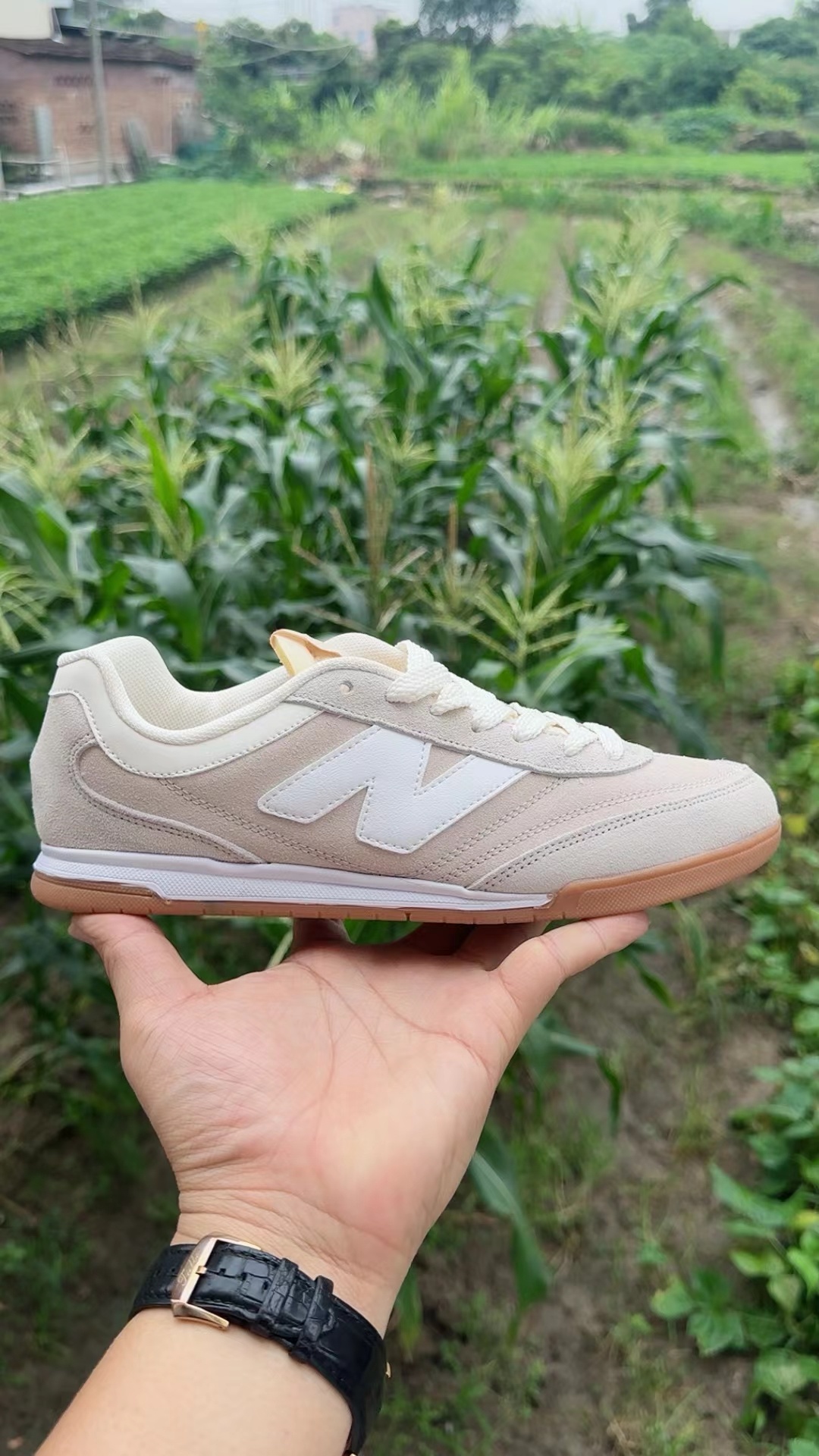 NB Low（F41）
