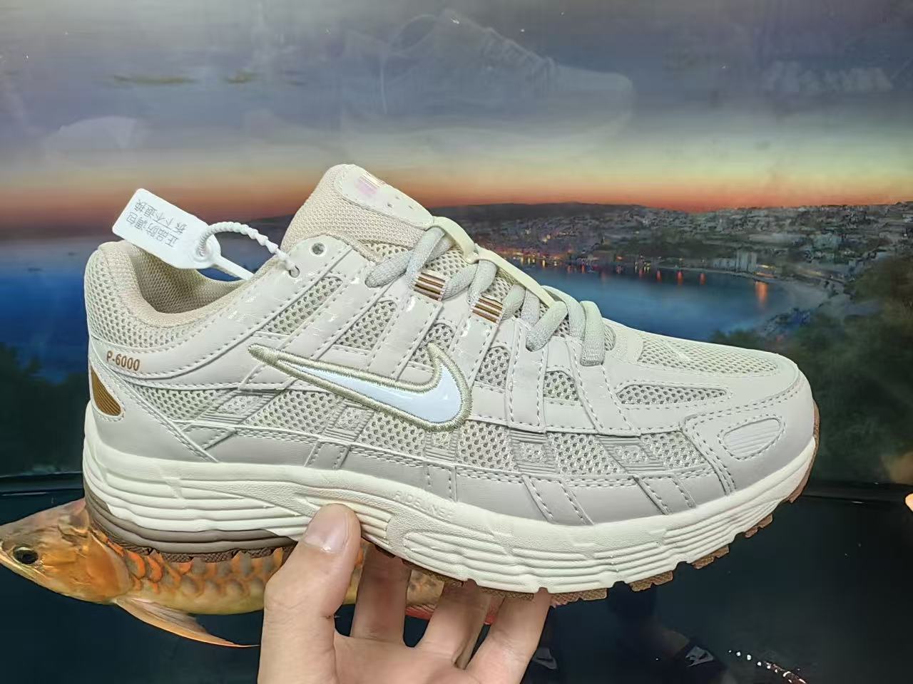 Nike P-6000 #zhang