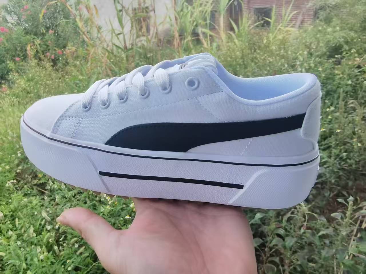 Pu-ma canvas #2505（G21）