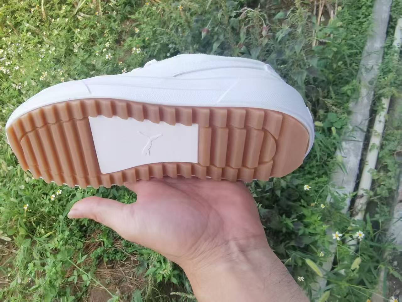 Pu-ma canvas #2505（G21）
