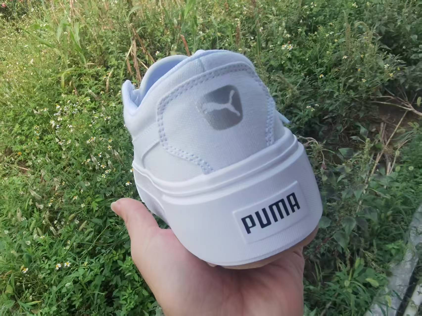 Pu-ma canvas #2505（G21）