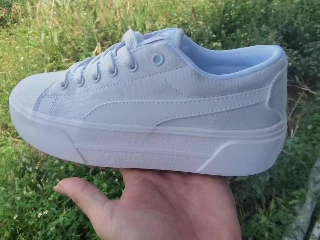 Pu-ma canvas #2505（G21）