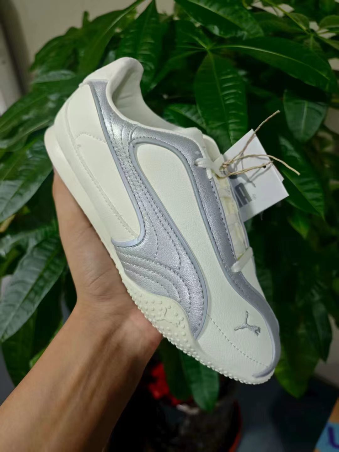 Pu-ma Bella V2（J-26）