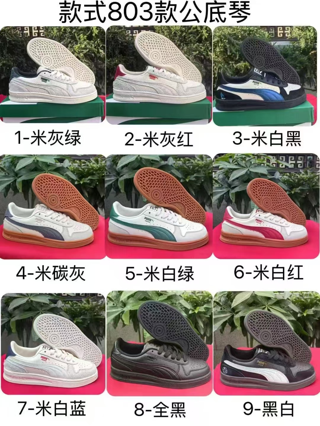 Pu-ma Indoor #803（H-38  J-12 F51）