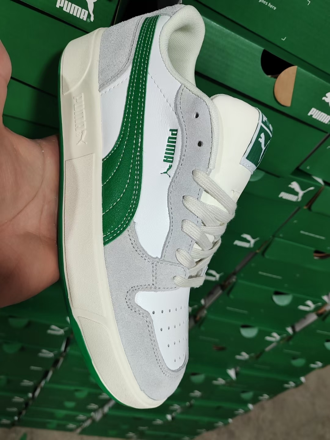 Puma SB（G50）