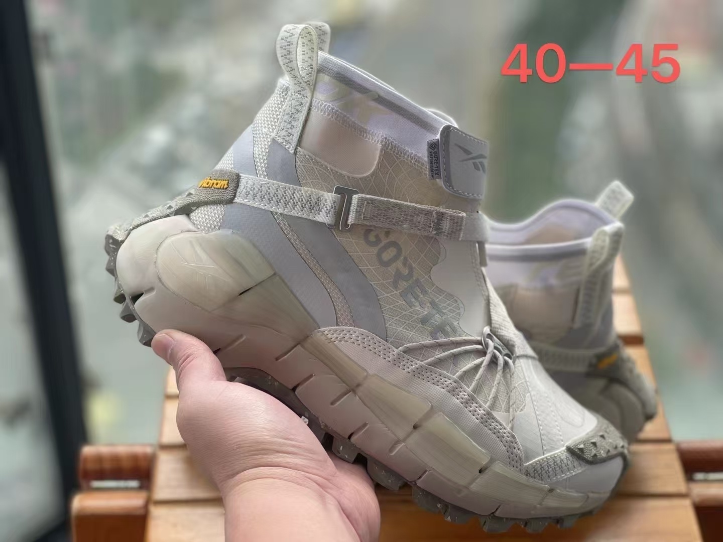 Ree-bok Zig Kinetica 2 Edge Gore-Tex（H-63）