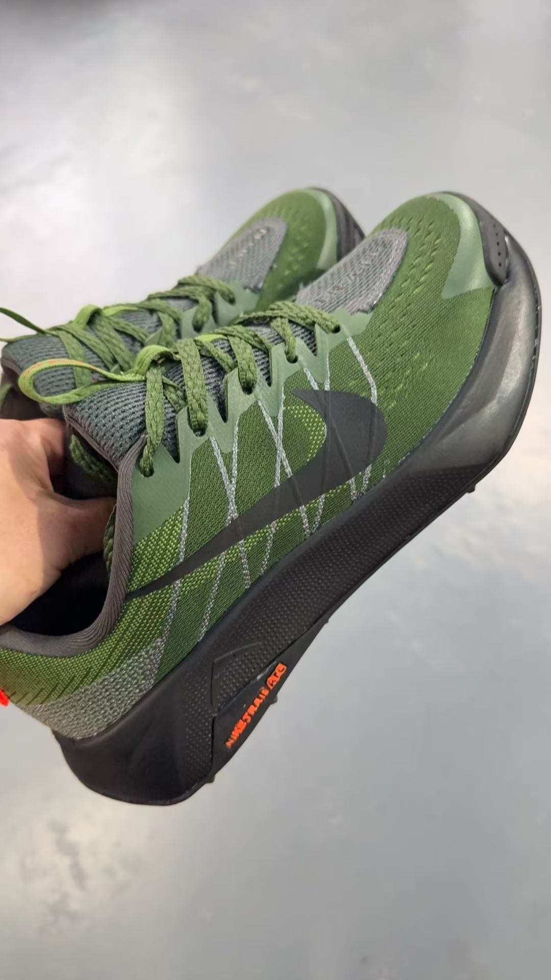 Nike Trail Wild Horse 10 #海