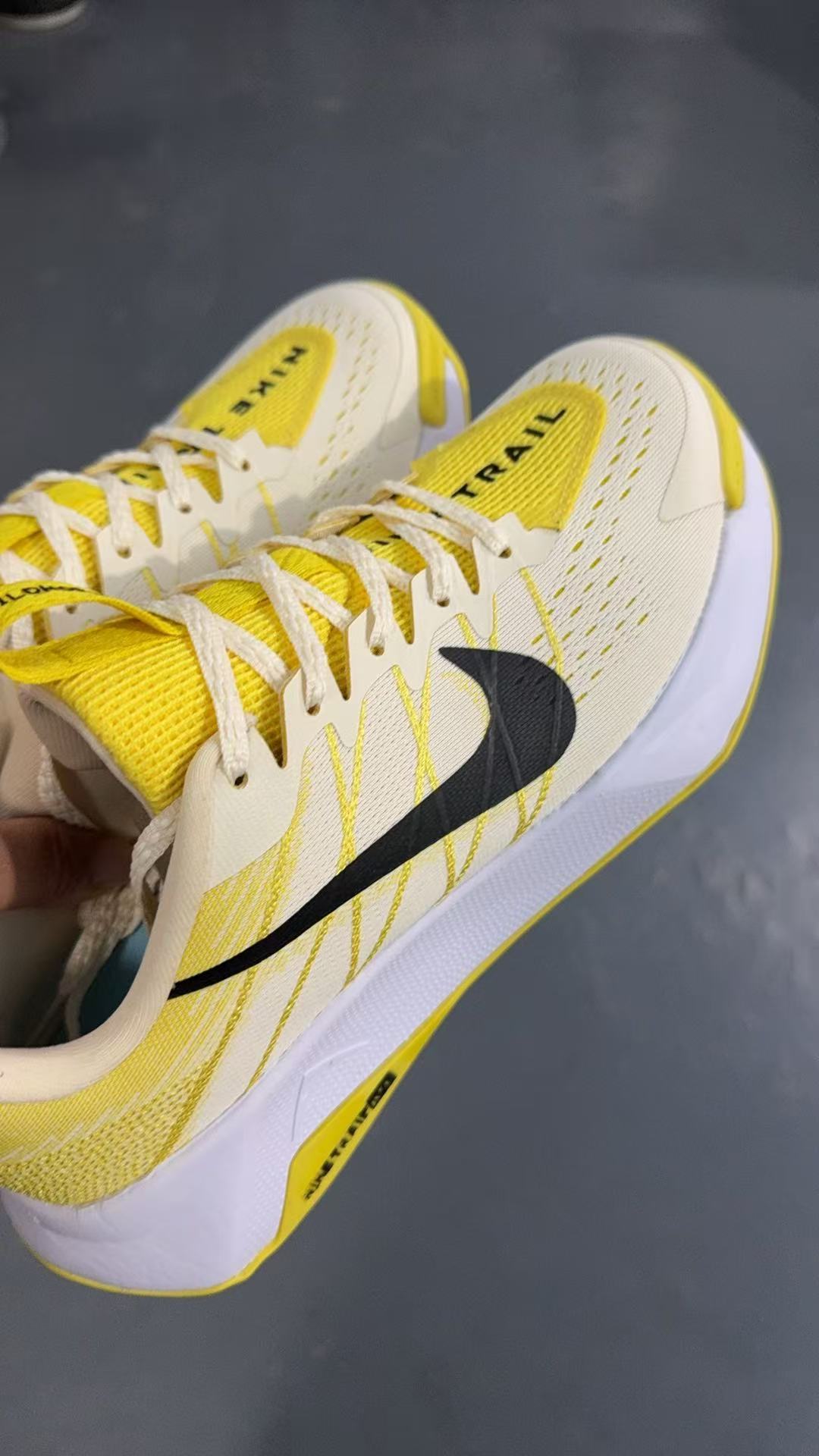 Nike Trail Wild Horse 10 #海